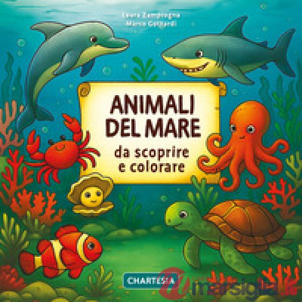 Animali del mare da scoprire e colorare
