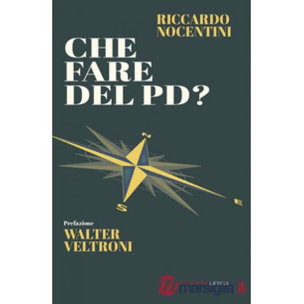 Che fare del PD?