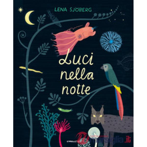 Luci nella notte