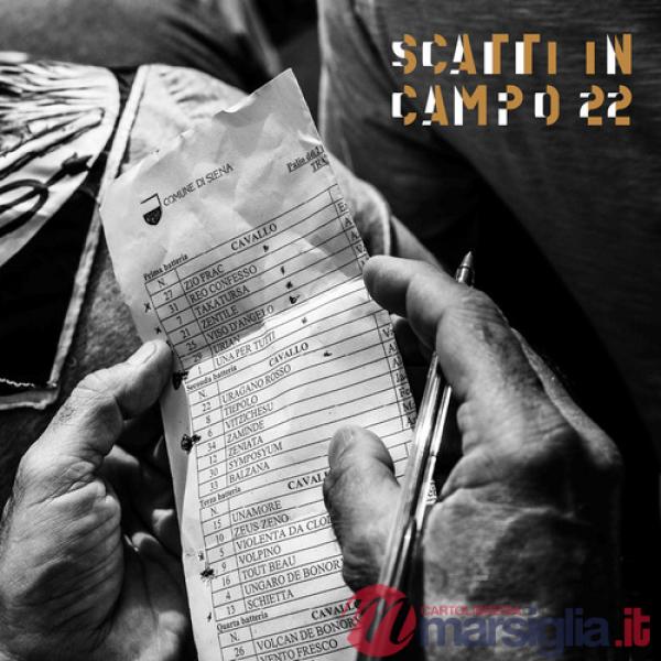 Scatti in campo 2022