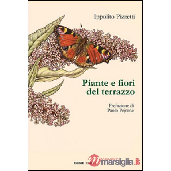 Piante e fiori del terrazzo