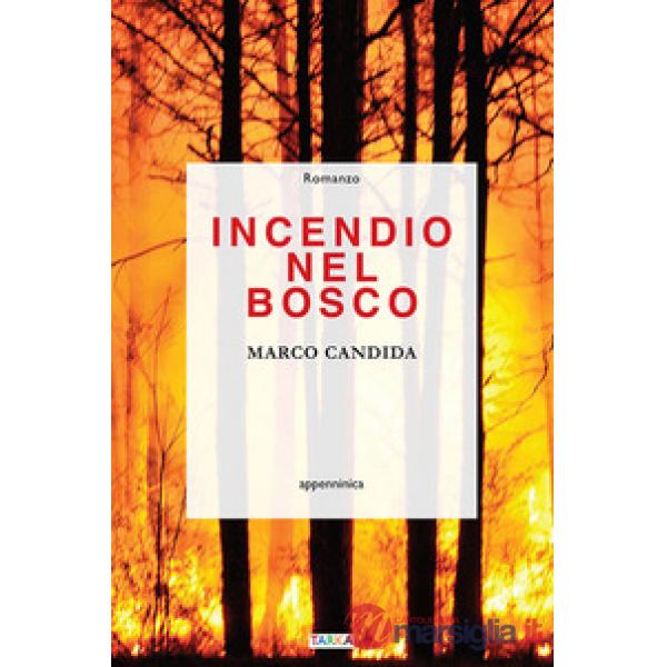 Incendio nel bosco