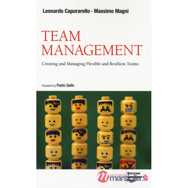 Team management. Come gestire e migliorare il lavoro di squadra