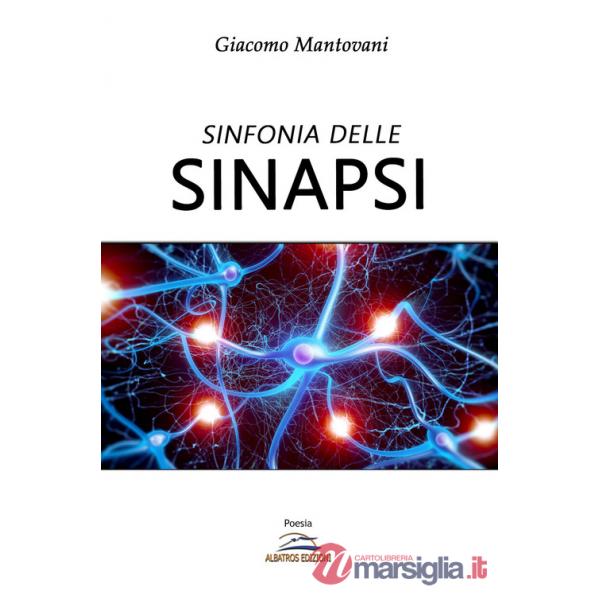 Sinfonia delle sinapsi