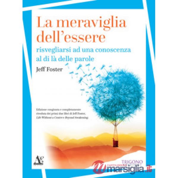 Meraviglia dell'essere. Risvegliarsi ad una conoscenza al di là delle parole (La