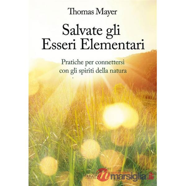 Salvate gli essere elementari. Pratiche per connettersi con gli spiriti della natura
