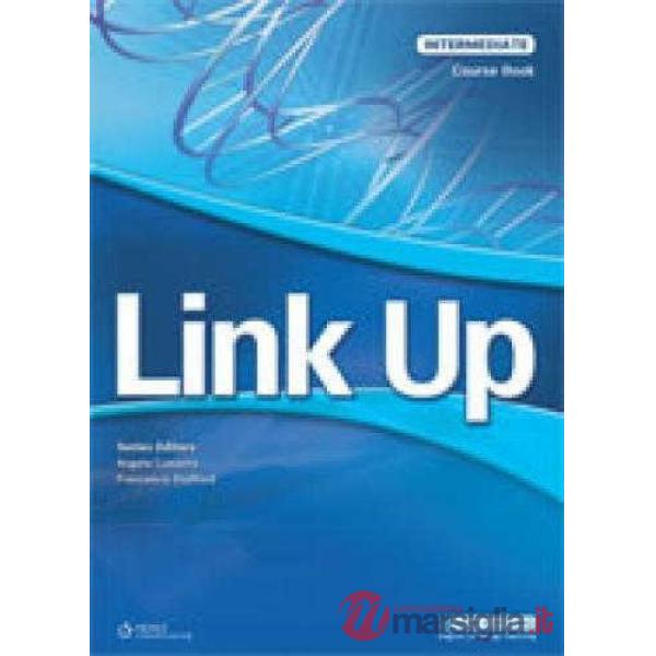 LINK UP INTERM. WORKBOOK