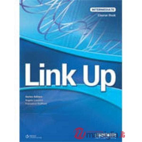 LINK UP INTERM. TEST BOOK