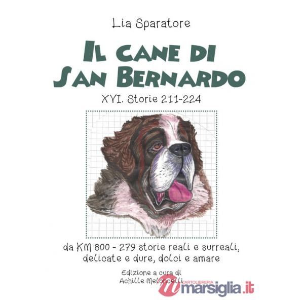 Cane di San Bernardo XVI. Storie 211-224, da km 800, 279 storie reali e surreali, delicate e dure, dolci e amare. Ediz. illustra