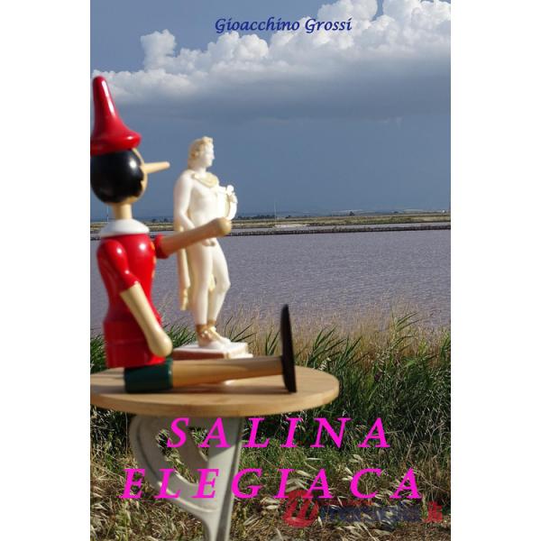 Salina elegiaca