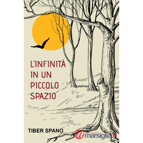 Infinità in un piccolo spazio (L')