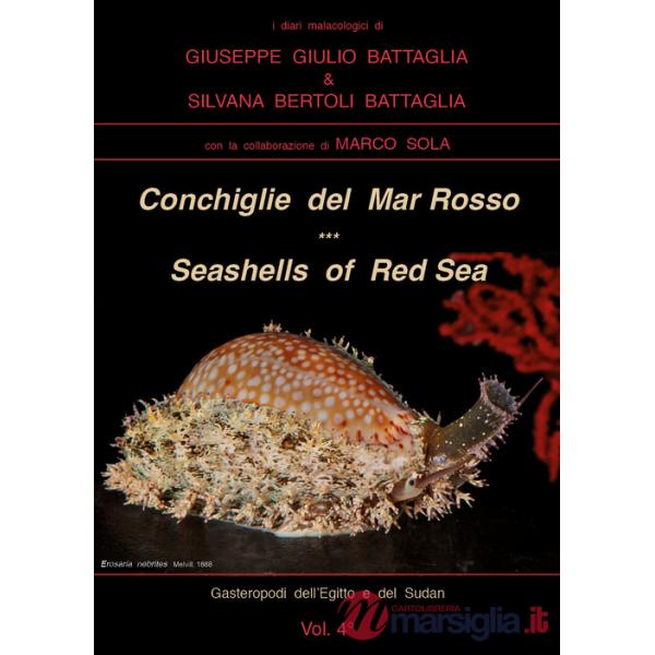 Conchiglie del Mar Rosso-Red Sea's seashelles. Ediz. bilingue