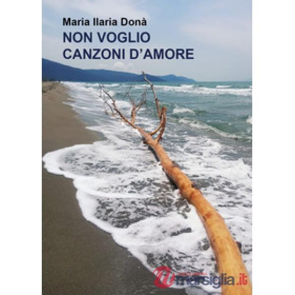Non voglio canzoni d'amore