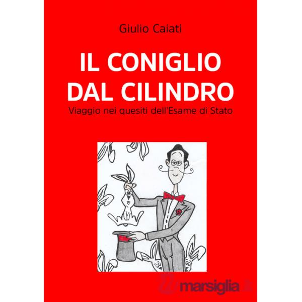 Coniglio dal cilindro. Viaggio nei quesiti dell'Esame di stato (Il)