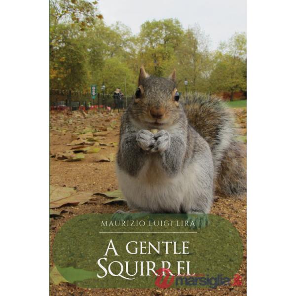 Gentle squirrel (A)
