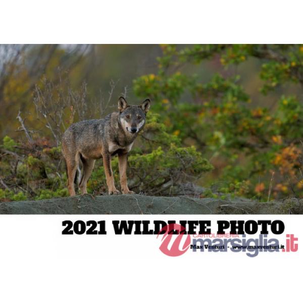 2021 wildlife photo