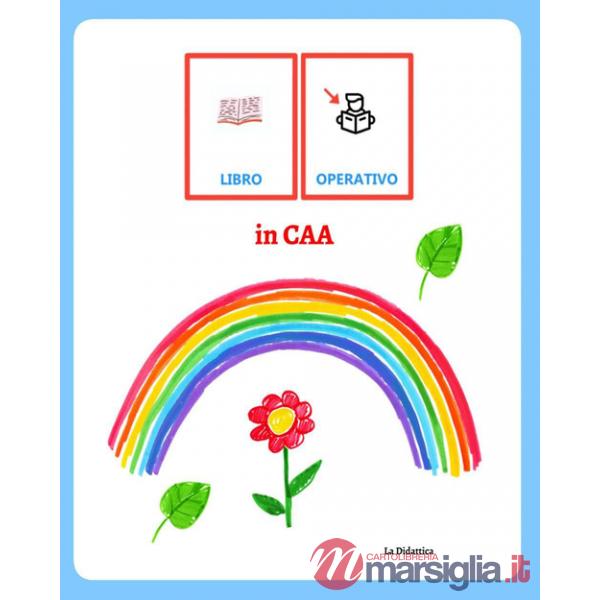 Libro operativo in CAA