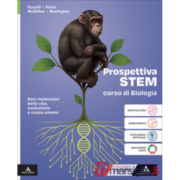 PROSPETTIVA STEM 2 BIENNIO