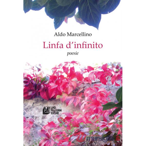 Linfa d'infinito