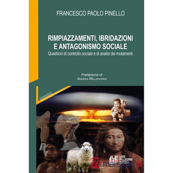 Rimpiazzamenti, ibridazioni e antagonismo sociale. Questioni di controllo sociale e di analisi dei mutamenti