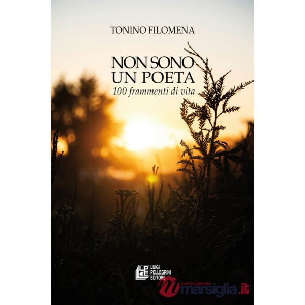 Non sono un poeta. 100 frammenti di vita