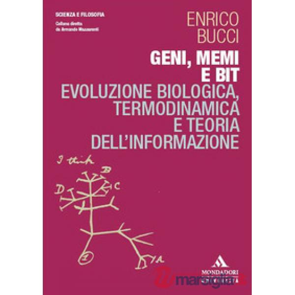 Geni, memi e bit. Evoluzione biologica, termodinamica e teoria dell'informazione