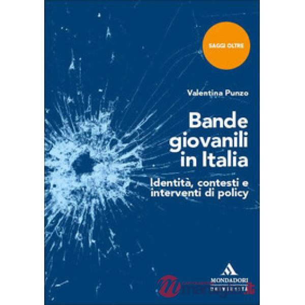 Bande giovanili in Italia. Identità, contesti e interventi di policy