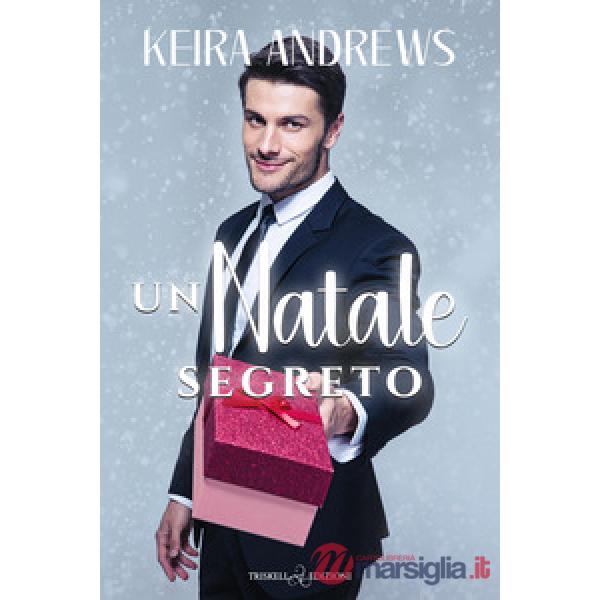 Natale segreto (Un)