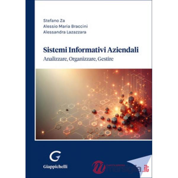 Sistemi informativi aziendali. Analizzare, organizzare e gestire
