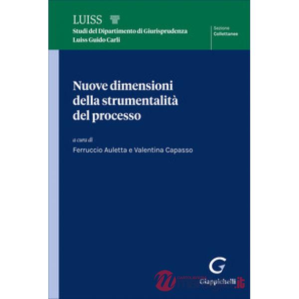 Nuove dimensioni della strumentalità del processo
