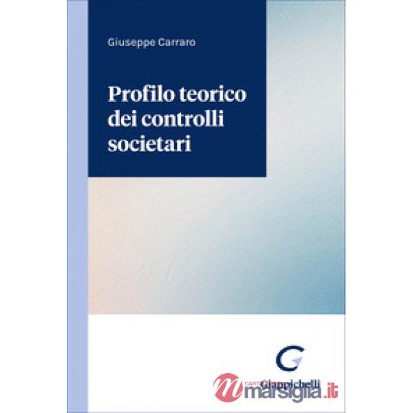 Profilo teorico dei controlli societari