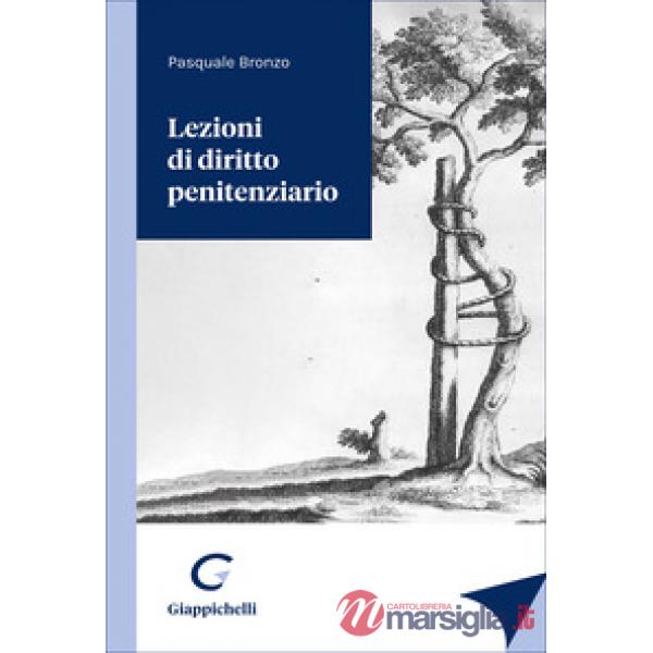 Lezioni di diritto penitenziario