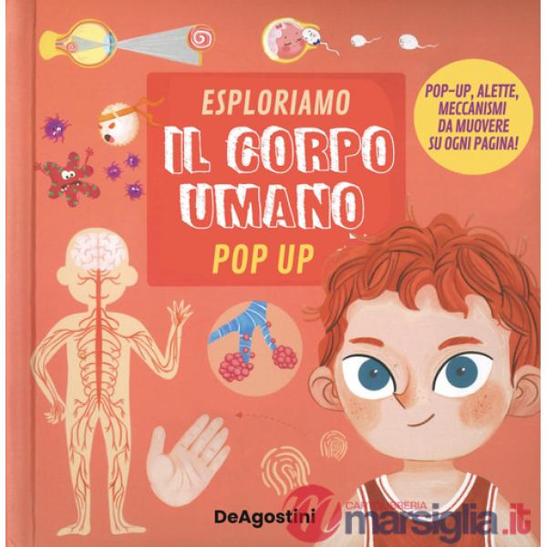 Esploriamo il corpo umano. Pop up. Ediz. a colori
