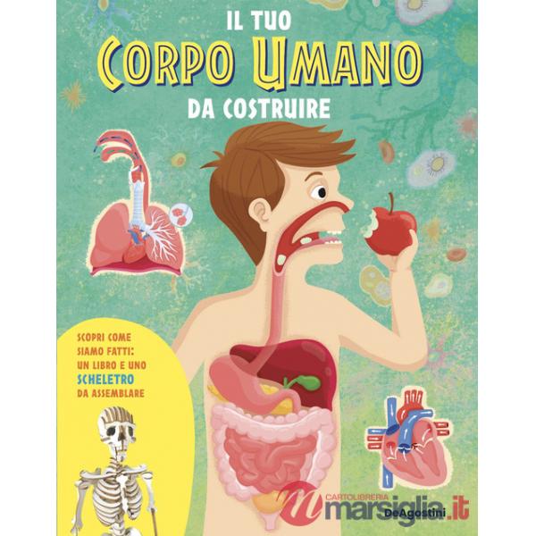 Tuo corpo umano da costruire. Con scheletro da assemblare (Il)