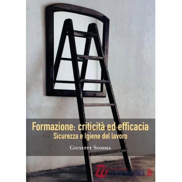 Sicurezza ed igiene del lavoro. Formazione: criticità ed efficacia