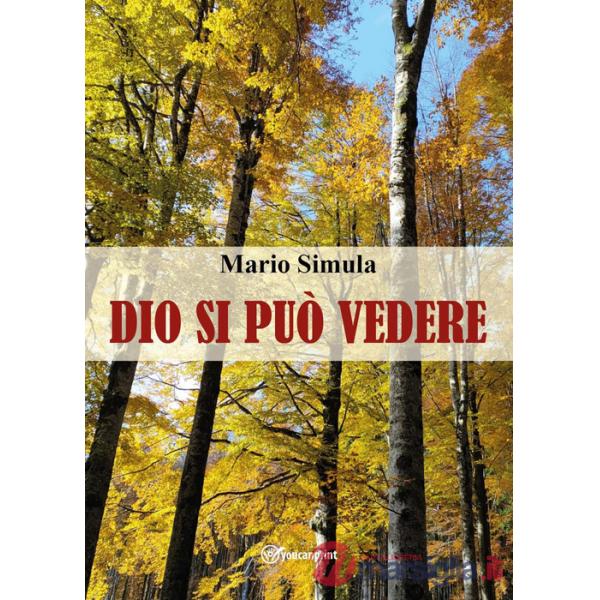 Dio si può vedere