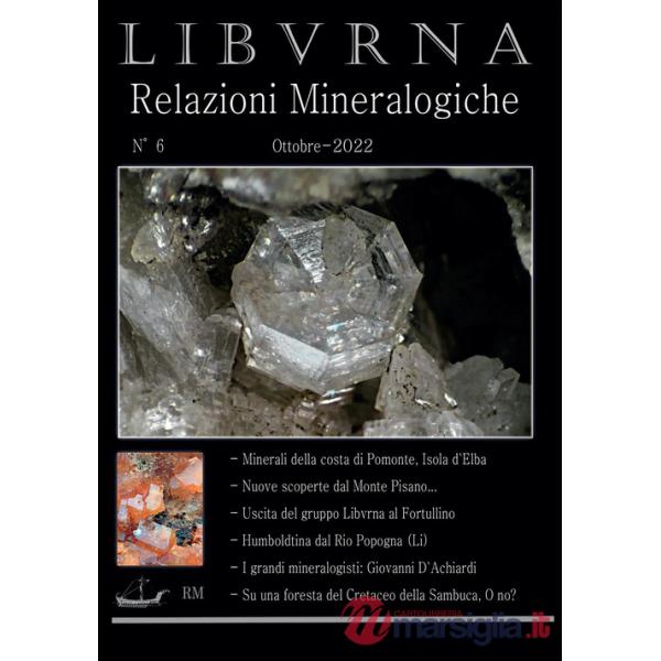 Relazioni mineralogiche. Libvrna. Vol. 6