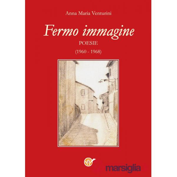 Fermo immagine (1960-1968)