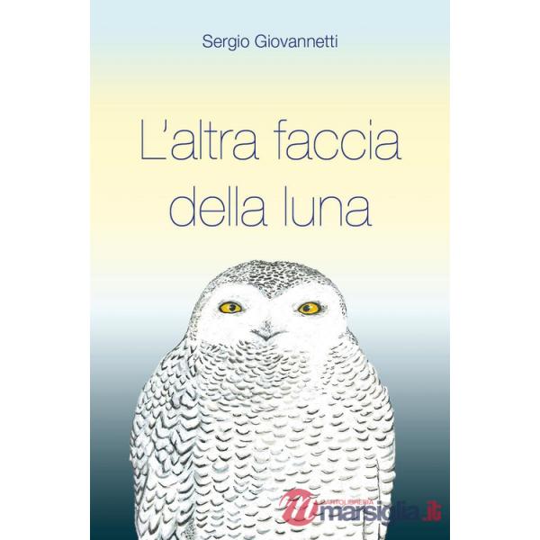 Altra faccia della luna (L')