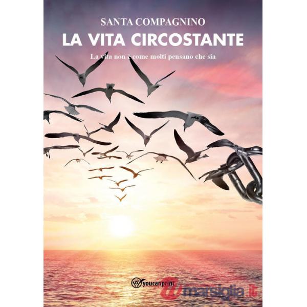 Vita circostante. La vita non è come molti pensano che sia (La)