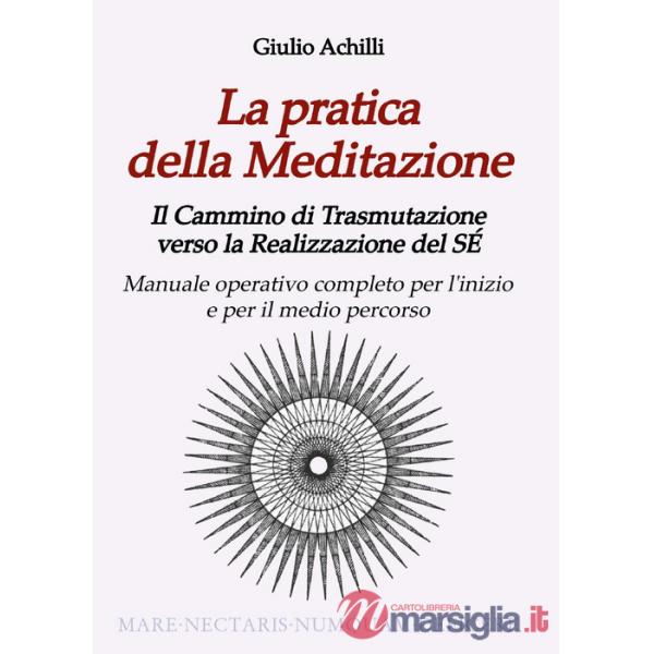 Pratica della meditazione (La)