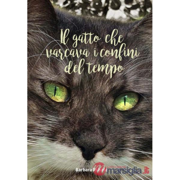 Gatto che varcava i confini del tempo (Il)