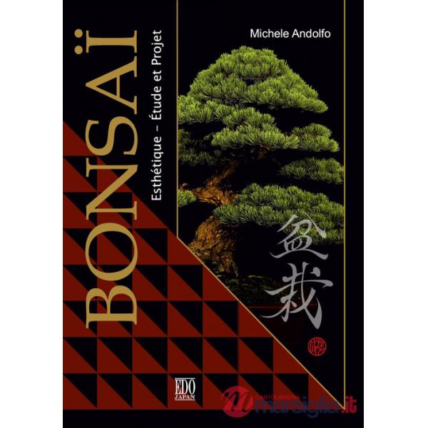 Bonsaï. Esthétique étude et projet