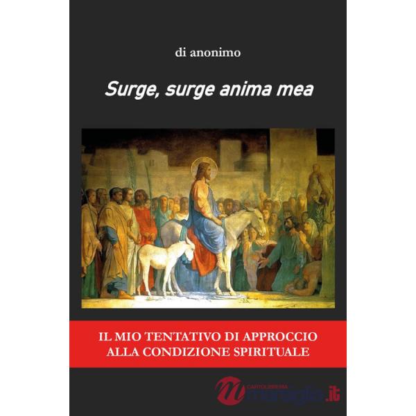 Surge, surge anima mea. Il mio tentativo di approccio alla condizione spirituale
