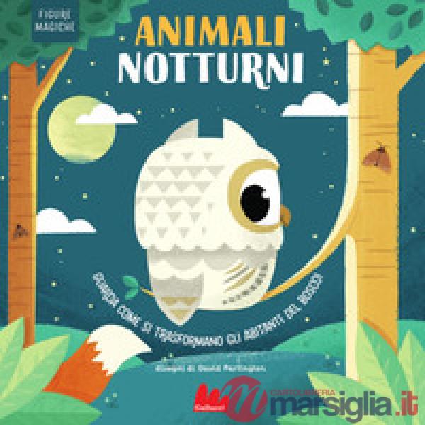 Animali notturni. Figure magiche. Ediz. a colori