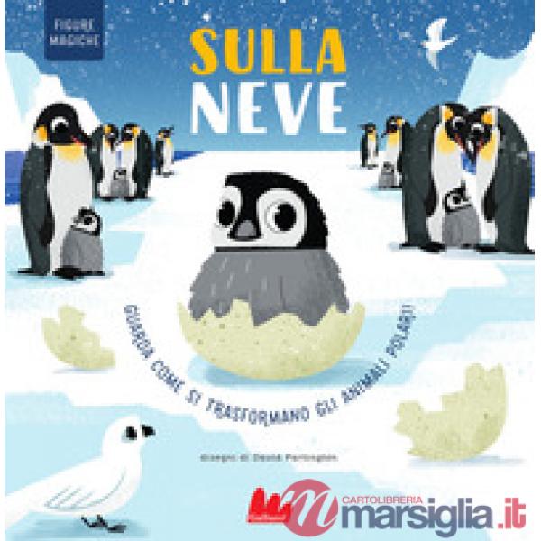 Sulla neve. Figure magiche. Ediz. a colori