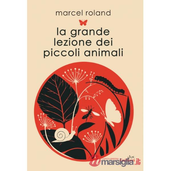 Grande lezione dei piccoli animali. Ediz. illustrata (La)