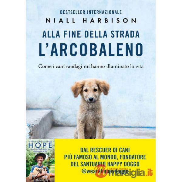 Alla fine della strada l'arcobaleno. Come i cani randagi mi hanno illuminato la vita