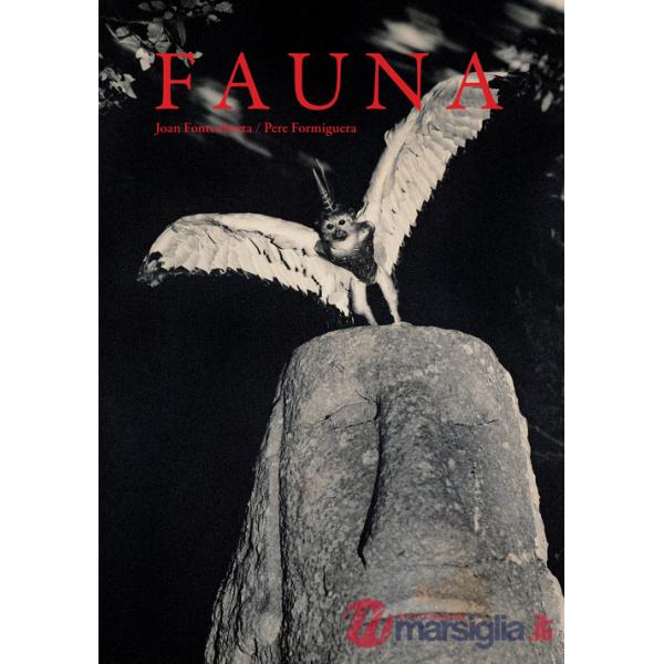 Fauna