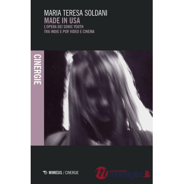 Made in USA. L'opera dei Sonic Youth tra indie e pop, video e cinema